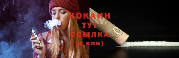 первитин Гусев