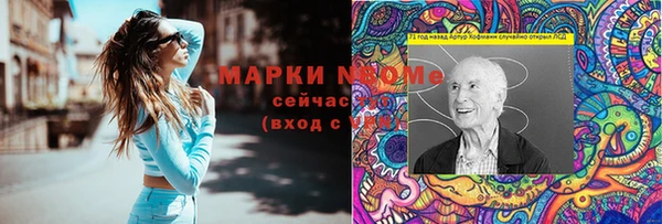 первитин Гусев