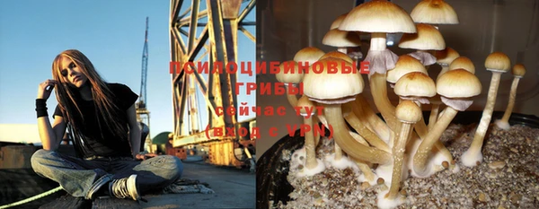 первитин Гусев