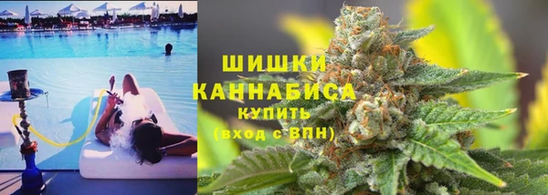 первитин Гусев