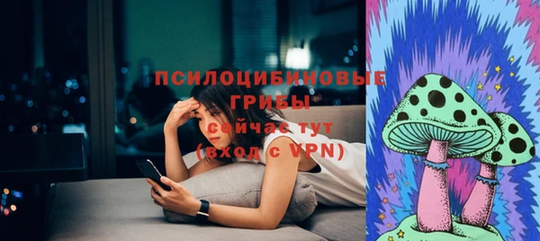кокс Гусь-Хрустальный
