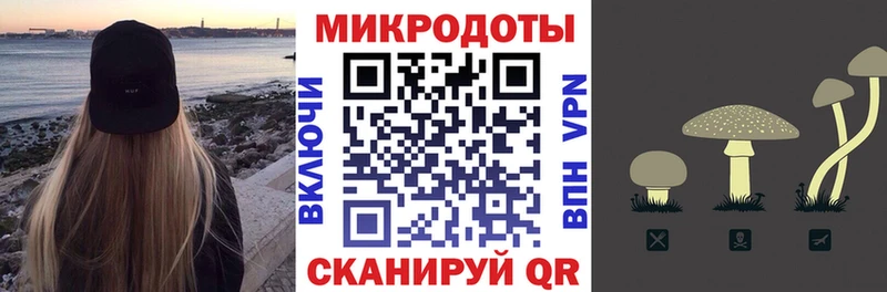 Купить закладки  Кологрив  Галлюциногенные грибы мицелий 